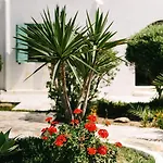 Apartman Horizon Nest Mykonos Ornos!