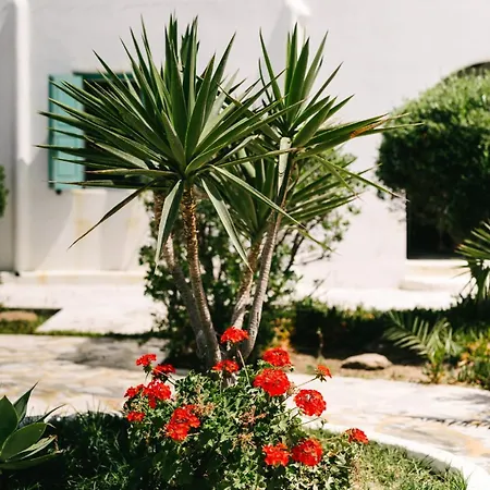 Apartmán Horizon Nest Mykonos Ornos!