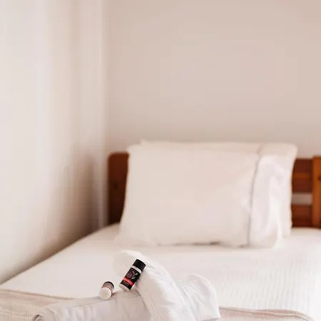 Apartmán Horizon Nest Mykonos Ornos! *